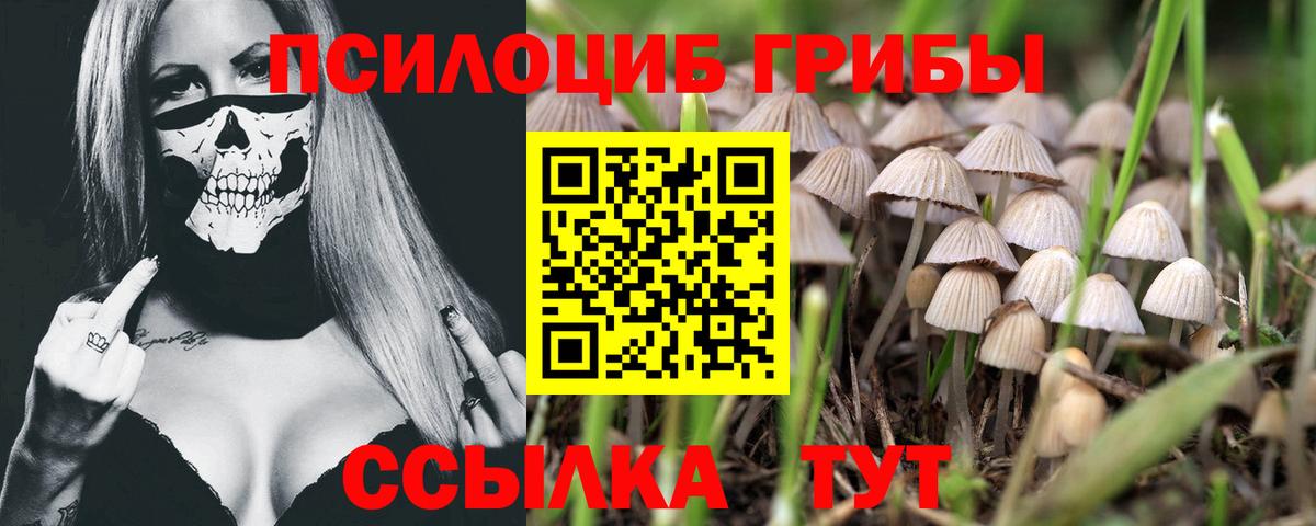 Псилоцибиновые грибы MAGIC MUSHROOMS Россия